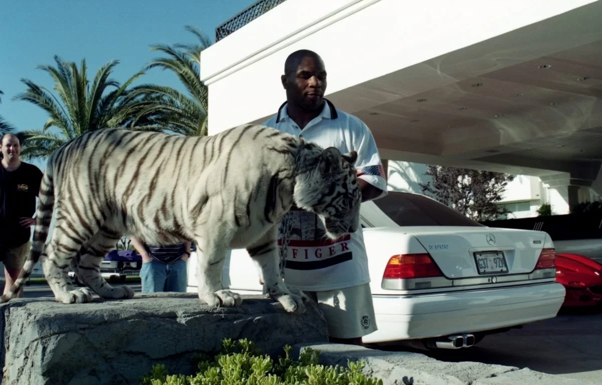 mike tyson tigre
