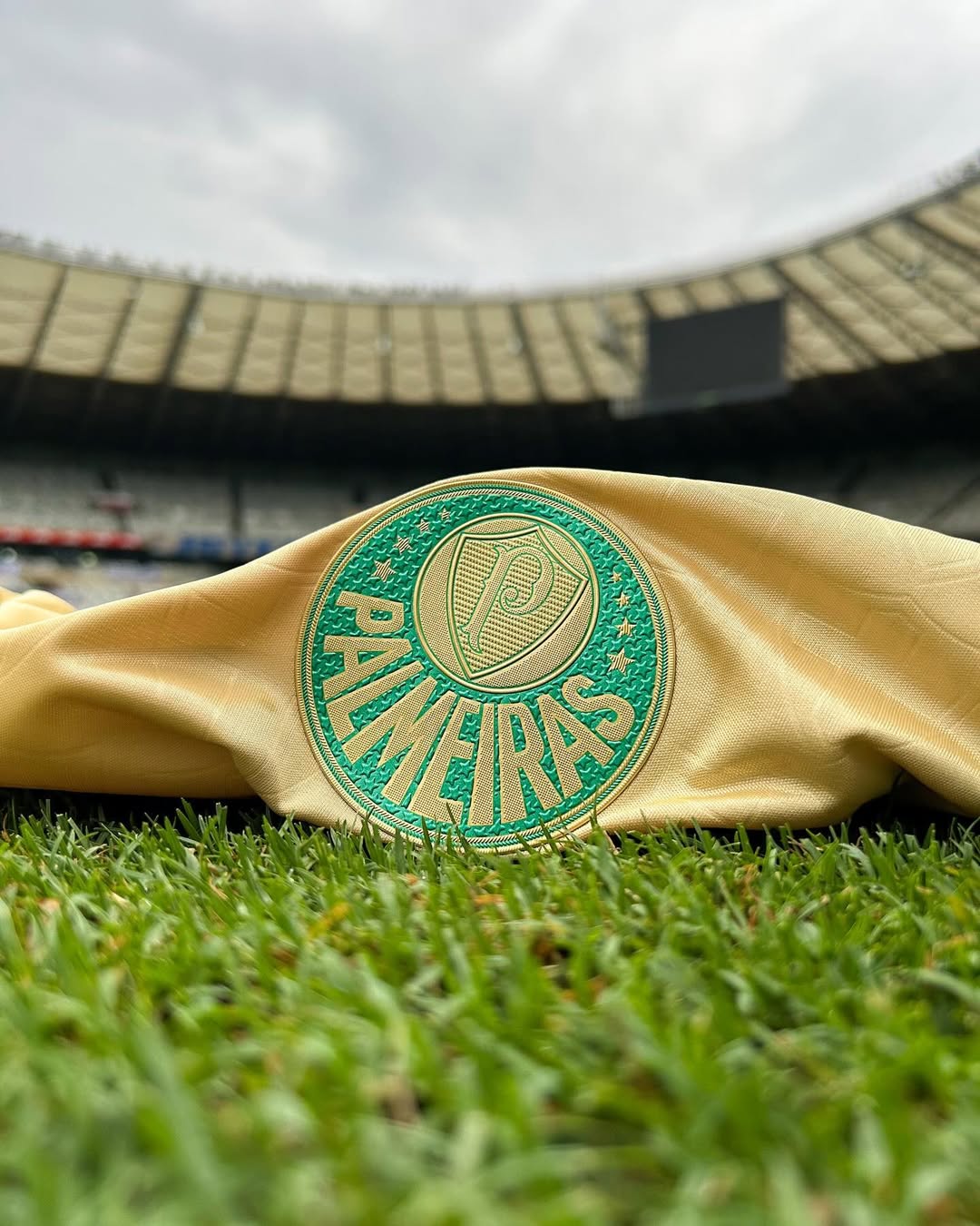 Ex-técnico do Palmeiras é listado em novo esquema de manipulação no futebol brasileiro